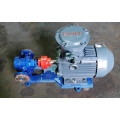 2CY gear lube oil transfer pump